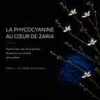 ZARIA IRIY — La Crème Magistrale, crème visage 30 ml