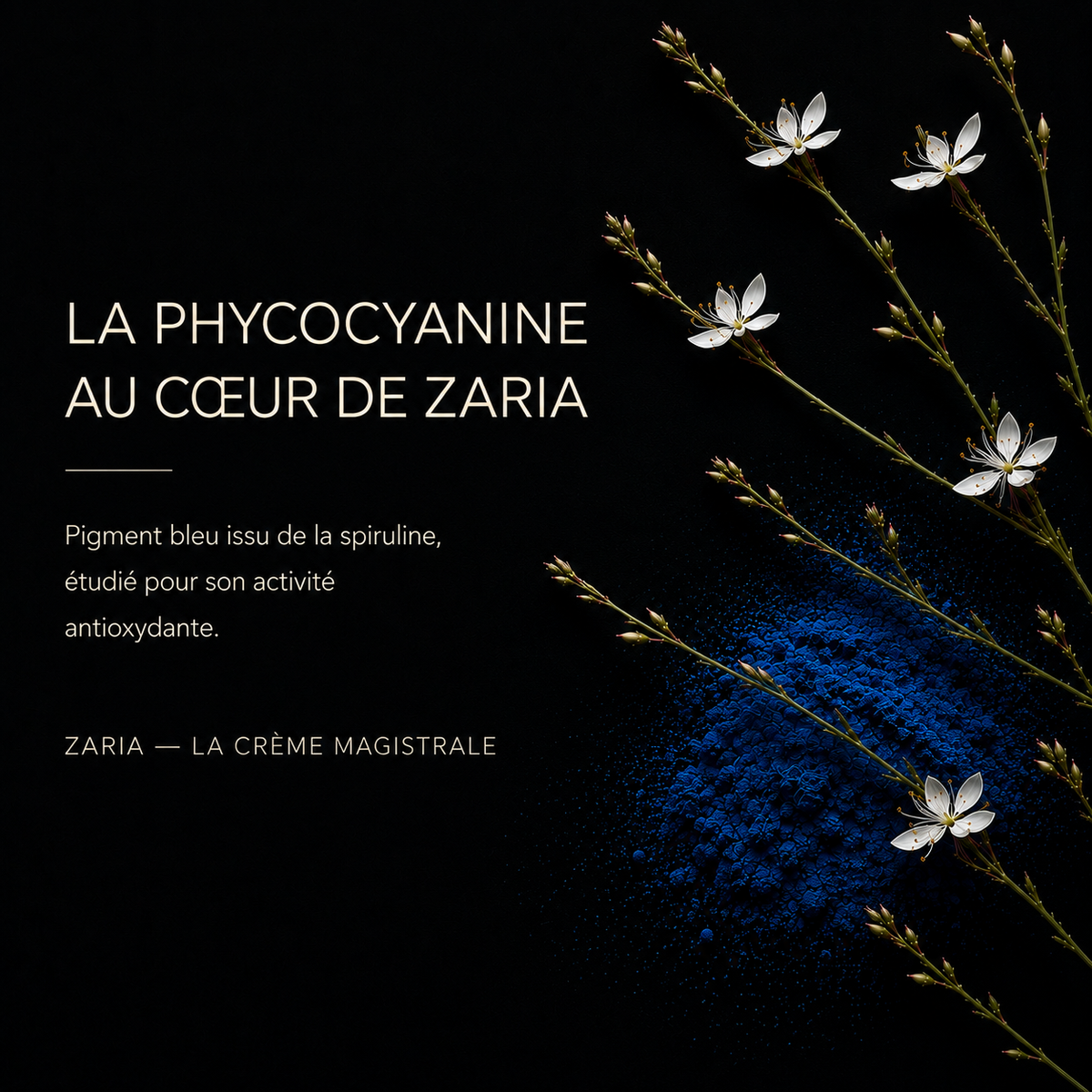 ZARIA IRIY — La Crème Magistrale, crème visage 30 ml