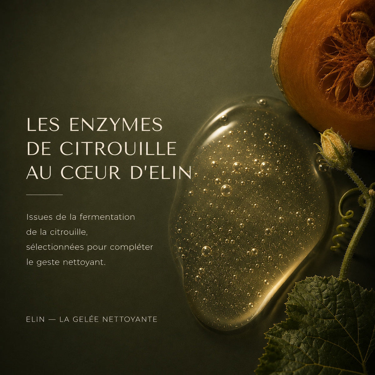 ELIN — enzyme de citrouille